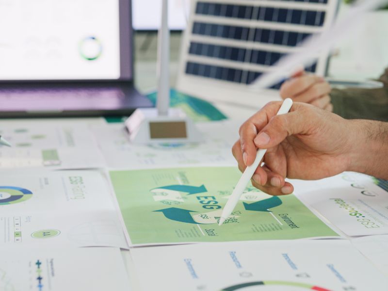 sosteniblidad empresarial